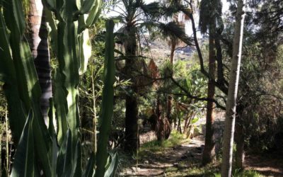 Jardin de Guadalm